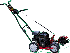 mtd edger.jpg (14405 bytes)