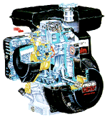 robin eng.gif (15857 bytes)